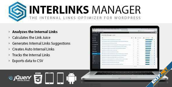 interlinks-manager.jpg