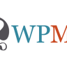WPML Multilingual CMS (+ 18 addons)