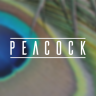 [Dohtheme] Peacock